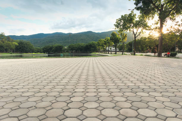 Best Professional Driveway Pavers  in Refugio, TX